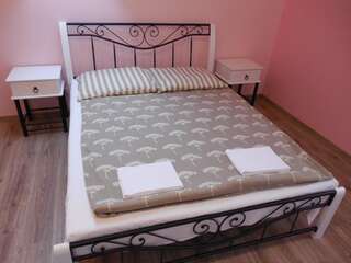 Отели типа «постель и завтрак» Praski Dom Sienno Большой двухместный номер с 1 кроватью-1